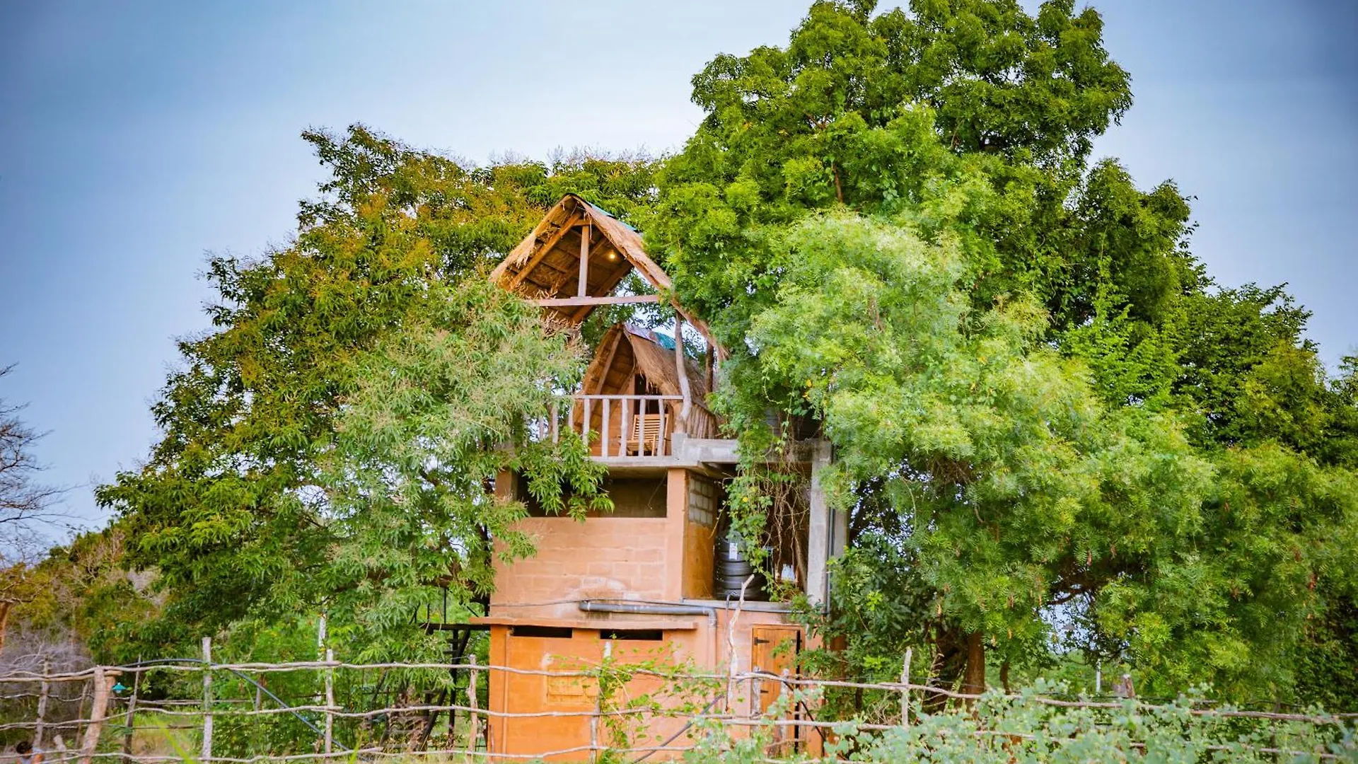 Wisdom Camping And Glamping Moragaswewa Sri Lanka