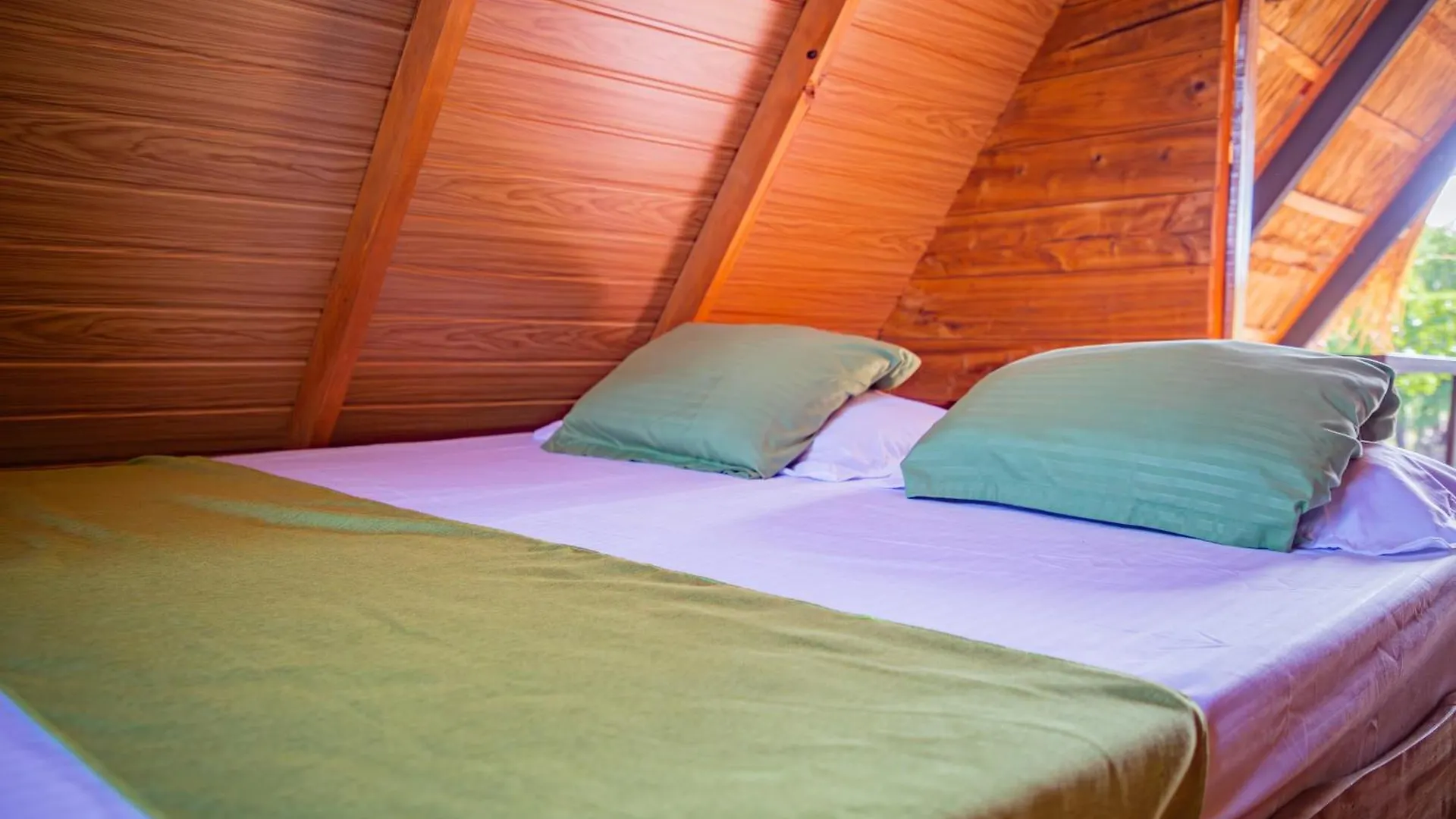 Wisdom Camping And Glamping contacts