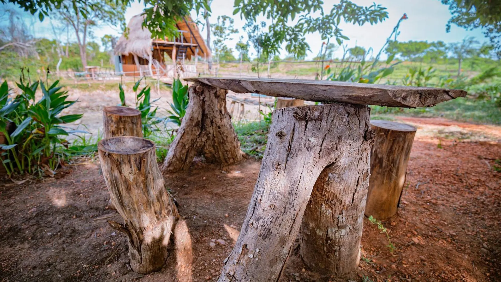 Wisdom Camping And Glamping Moragaswewa Sri Lanka