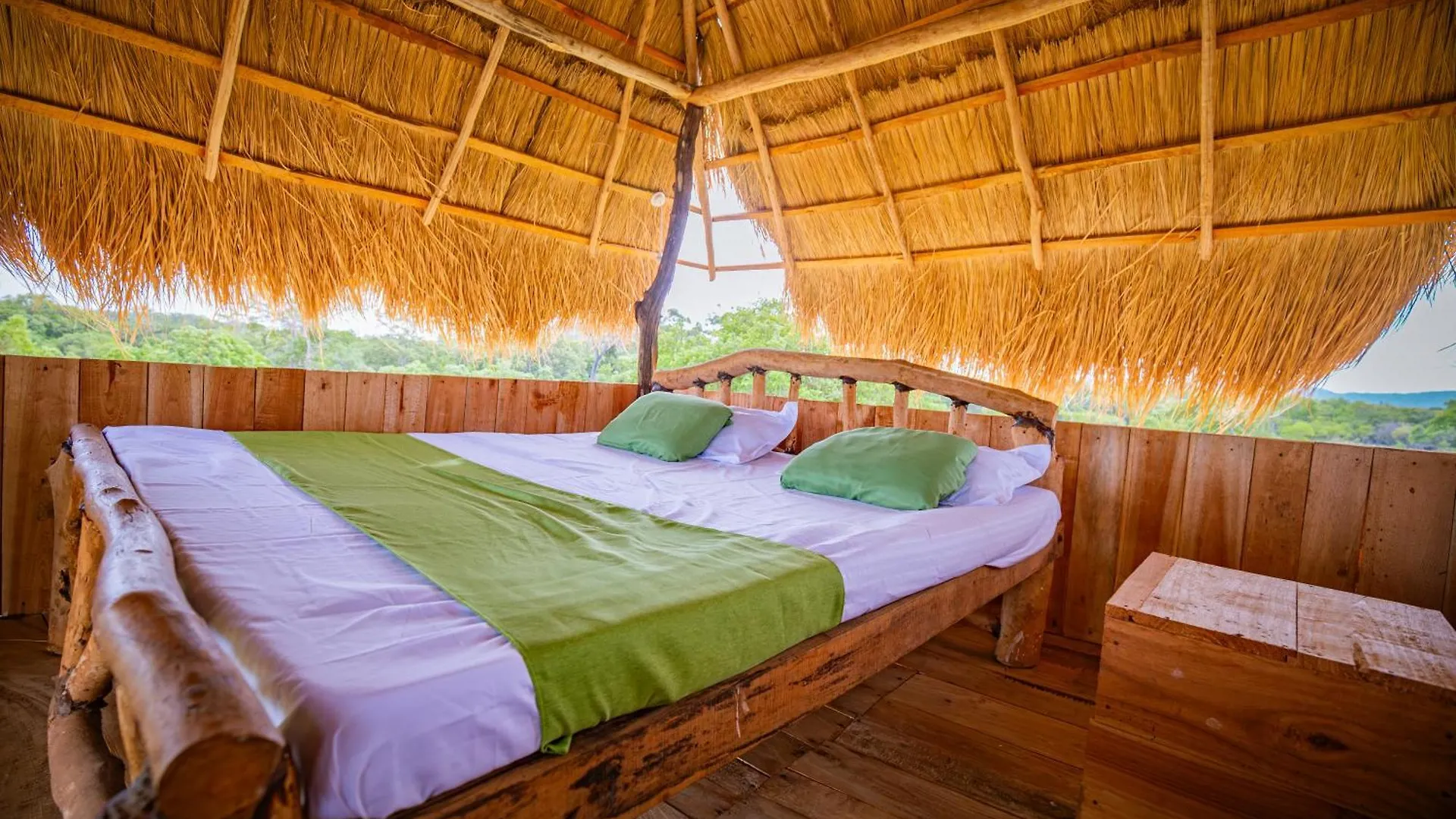Wisdom Camping And Glamping Moragaswewa Sri Lanka