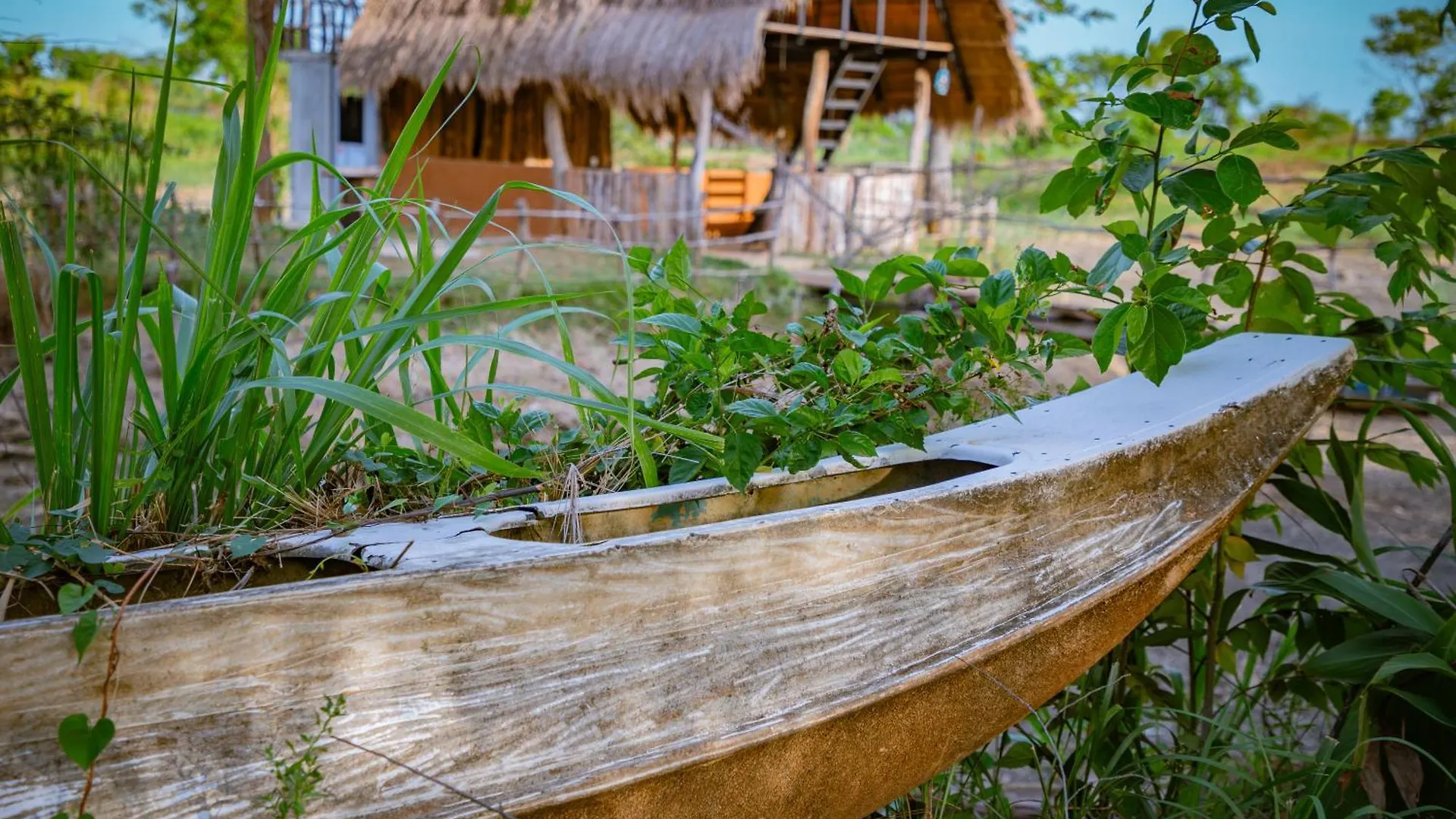 Luxury tent Wisdom Camping And Glamping Moragaswewa